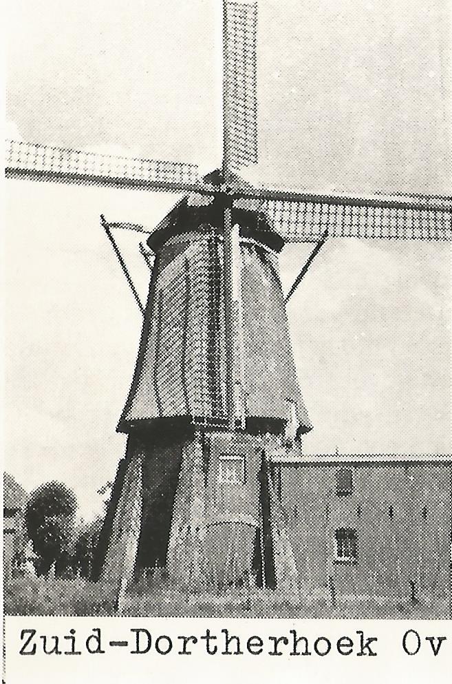 Zuid Dorterhoek molen